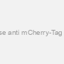 Mouse anti mCherry-Tag mAb